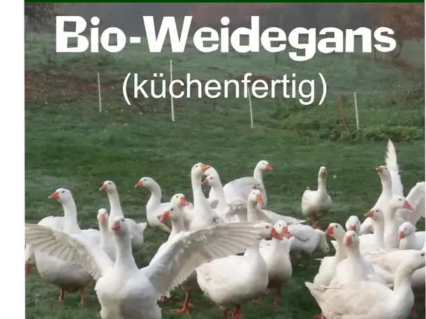 Bio-Birkenhof Kleinwallstadt