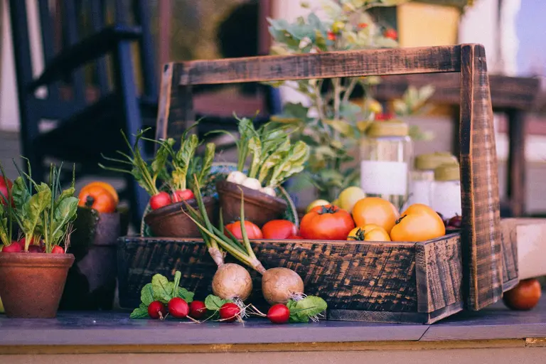 Frisches lokales Obst und Gemüse. Regional vom Bauernhof oder vom Markt um die Ecke.