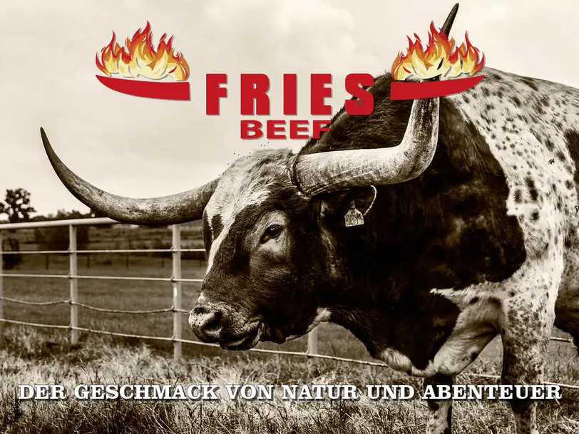 Fries Beef - Saloon in Abenberg / Wassermungenau