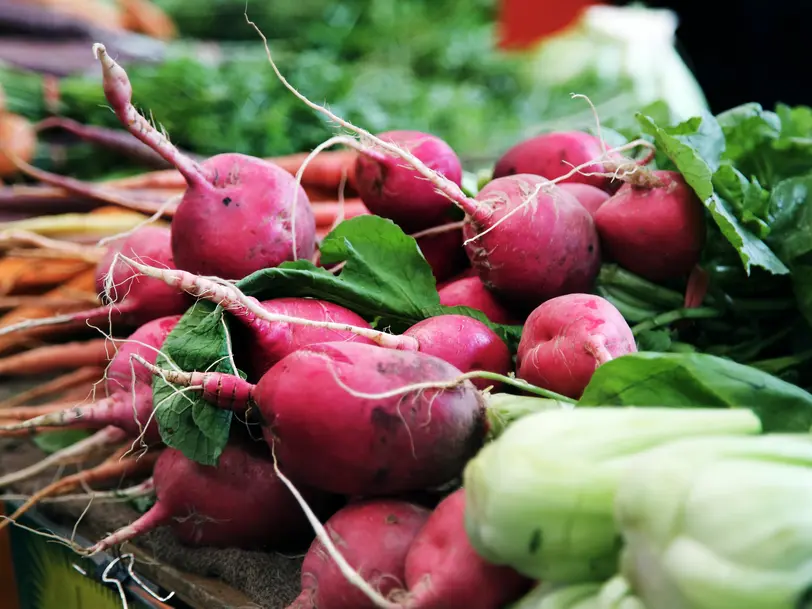 Biomarkt Der Lämmerhof in Panten