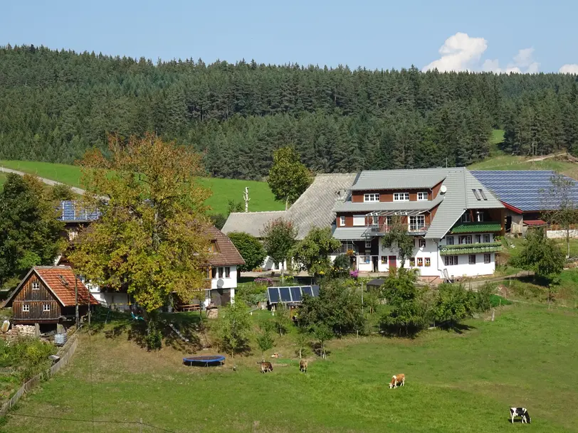 Mooshof in Schramberg-Tennenbronn