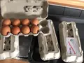 Hof Kulke - Eier aus Freilandhaltung in Ahlen