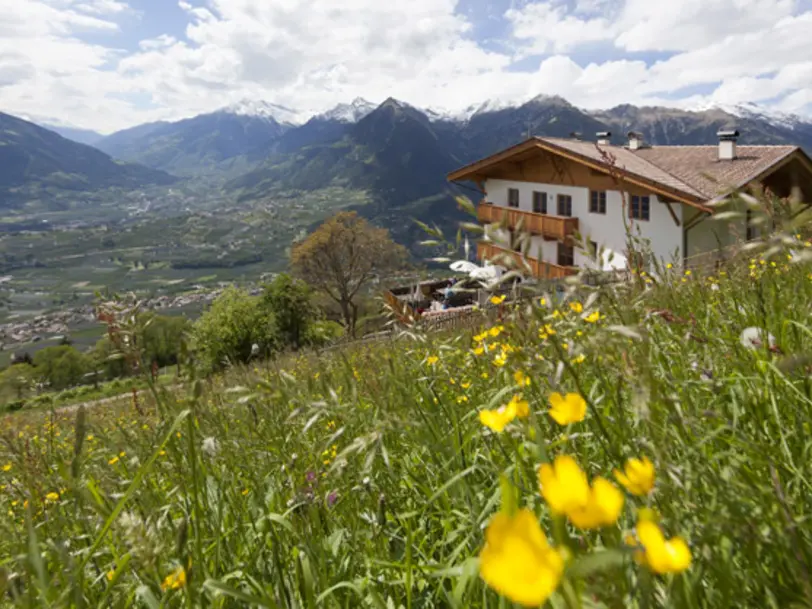 Zmailer-Hof in Schenna