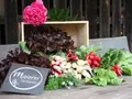 Maierei - Dein Bauernhof in Oberpframmern Maierei - Dein Bauernhof in Oberpframmern
