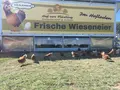 Hof vor Fläsling in Langweiler Hof vor Fläsling in Langweiler