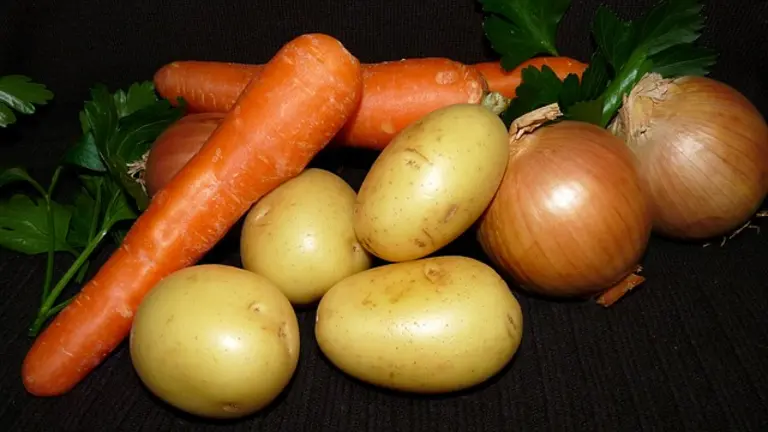 Saisongemüse im Januar