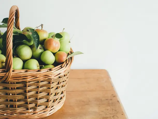 Hofladen Gunsser - Obst- und Beerenkulturen