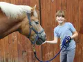 Ferienhof Asmussen in Tetenbüll Ferienhof Asmussen in Tetenbüll