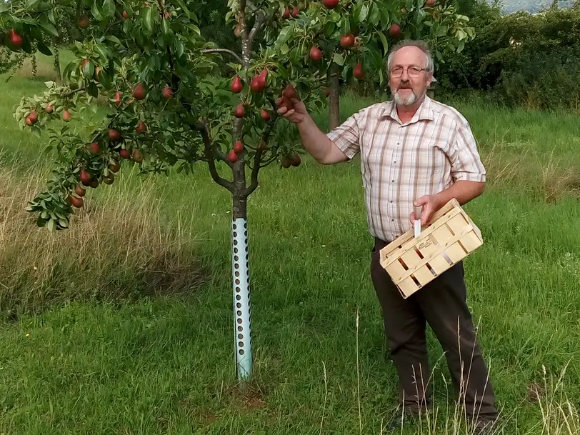 Obstwiesenhof Schreiber in Twistetal-Berndorf