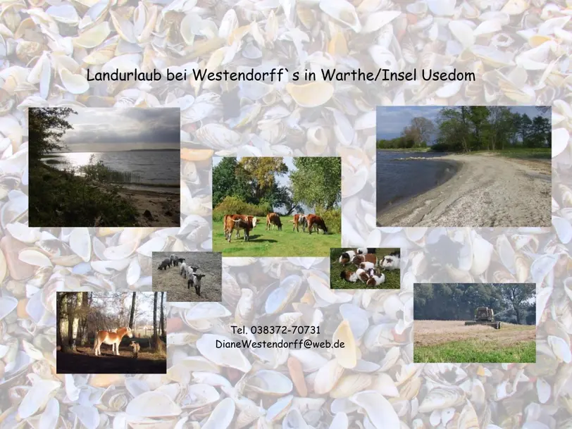 Bauernhof Westendorff in Rankwitz OT Warthe / Insel Usedom