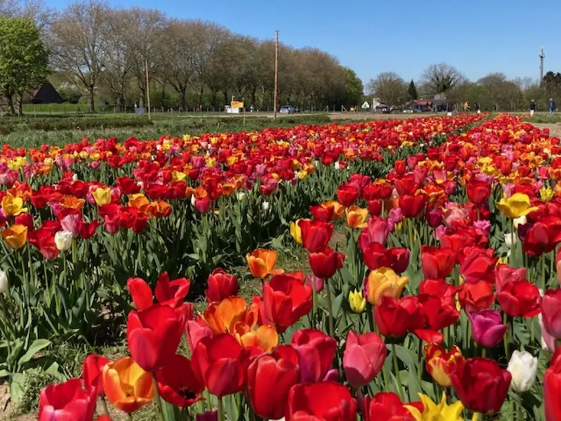 Baumerhof in Mülheim an der Ruhr