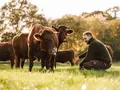 Reidemeiers Rind | Hof große Beilage in Essen (Oldenburg)