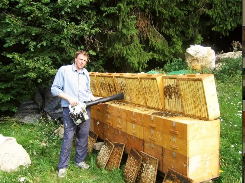 Bio-Imkerei Rinner in Oberbozen
