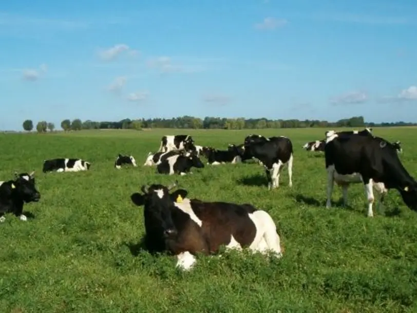 Demeterhof Rittgarten in Nordwestuckermark/Rittgarten