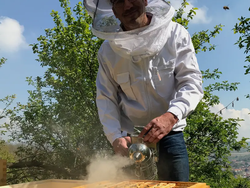 Imkerei Bee-o-logisch@ in Eichgraben