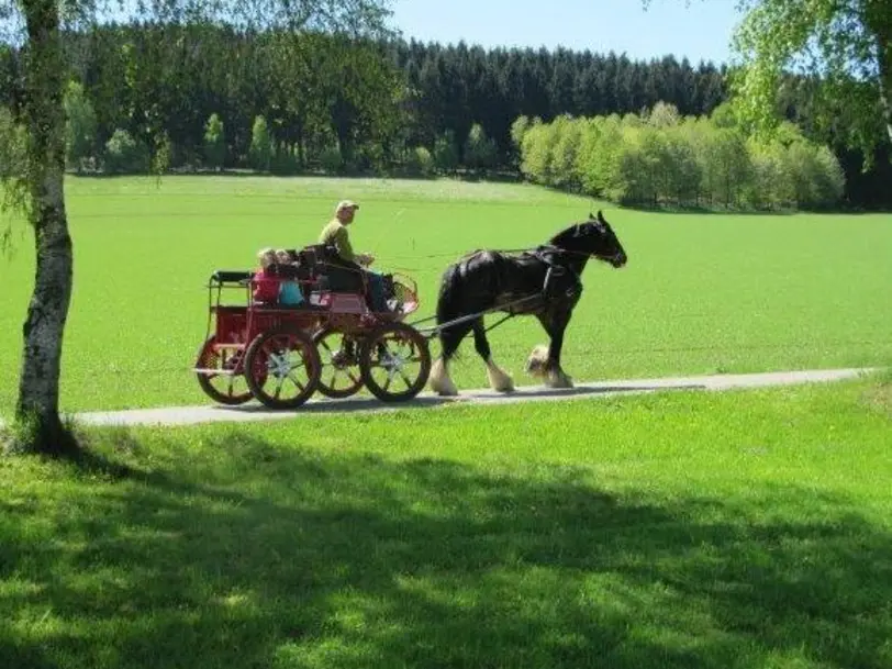 Hof Heer in Lennestadt