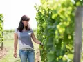 Weingut Klaus u. Judith Wendel in Worms Weingut Klaus u. Judith Wendel in Worms