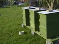 honig-aus-vogelsberg in Maar honig-aus-vogelsberg in Maar