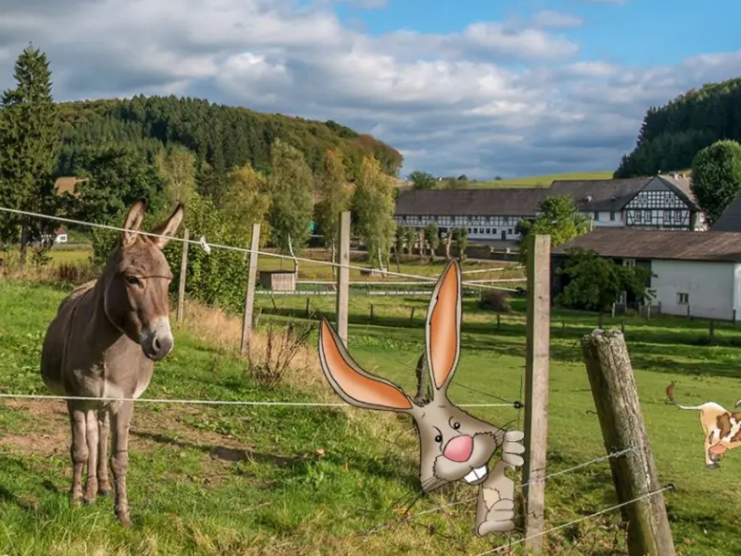 Hof Henders in Eslohe-Obermarpe