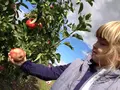 Selbstpflückanlage der Raiffeisen Agil Leese eG in Leese Selbstpflückanlage der Raiffeisen Agil Leese eG in Leese