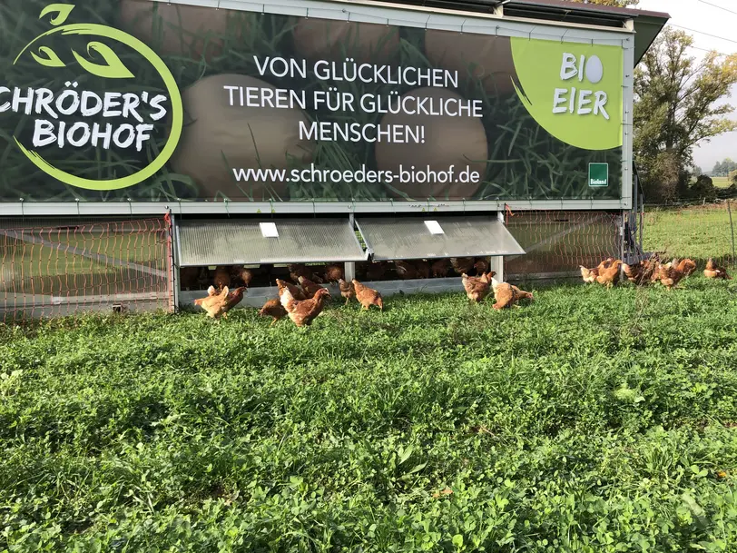 Schröder‘s Biohof in Sulzbach