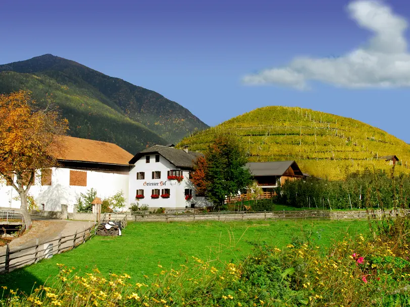 Griesserhof in Vahrn