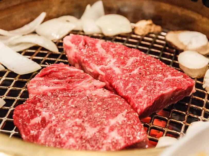 Holstein Wagyu Rinderzucht in  Negenharrie in Holstein