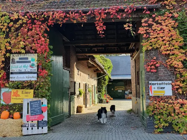 Kartoffelhof-Henseler