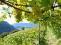 Ebnicherhof in Ritten Ebnicherhof in Ritten