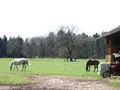Ferienhof Rudhart in Isny Ferienhof Rudhart in Isny