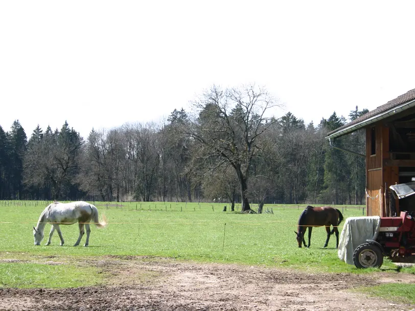 Ferienhof Rudhart in Isny