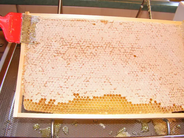 Imkerei - Honigverkauf / Bienenvölker