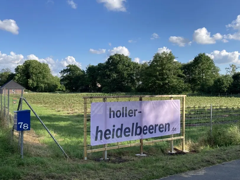 holler-heidelbeeren.de in Hude (Oldenburg)