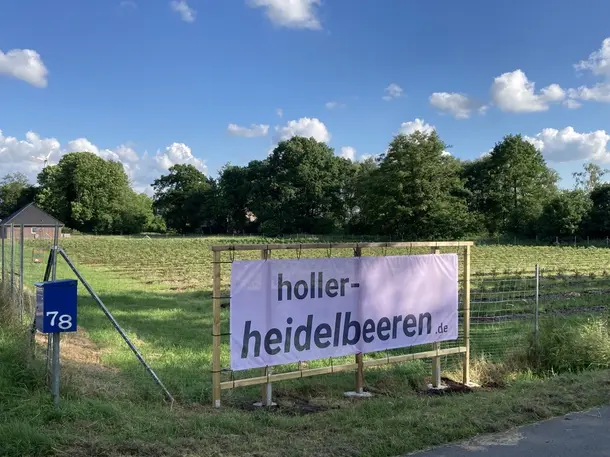 holler-heidelbeeren.de
