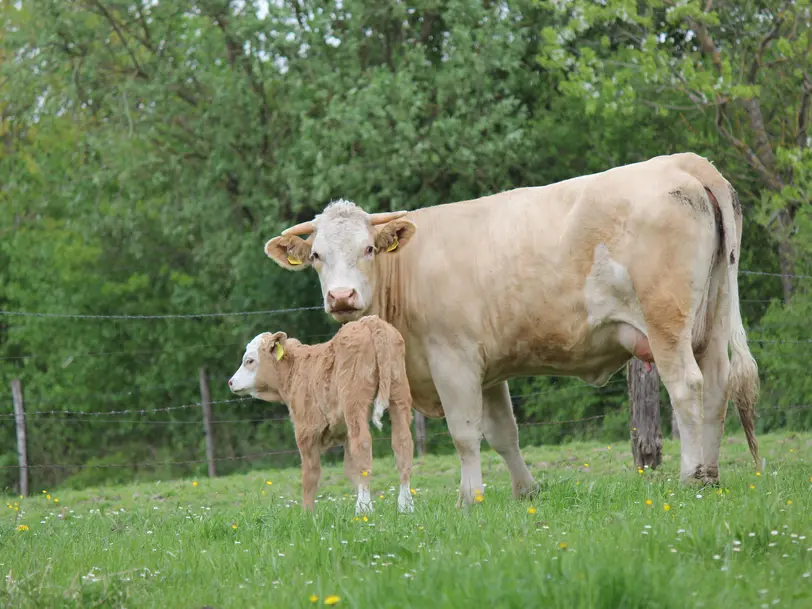 Biohof Liebhart in Obing