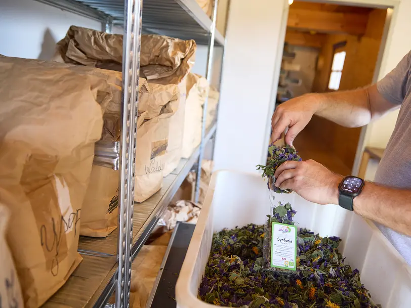 Biohof Obertreichl in Brixen im Thale