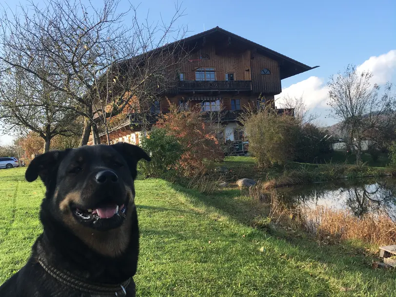 Bajuwarenhof in Feldkirchen-Westerham