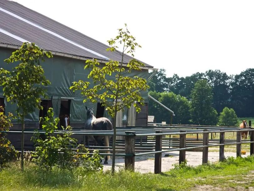 Reit- und Freizeitstall Sternberg in Tornesch