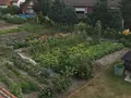 Gemüse Tim Allerbüttel in Calberlah OT Allerbüttel Gemüse Tim Allerbüttel in Calberlah OT Allerbüttel