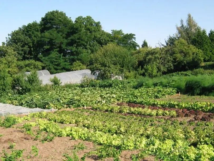 Amselhof in Kütten / Drobitz