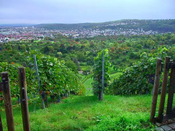 Weinlaube Im Brückle