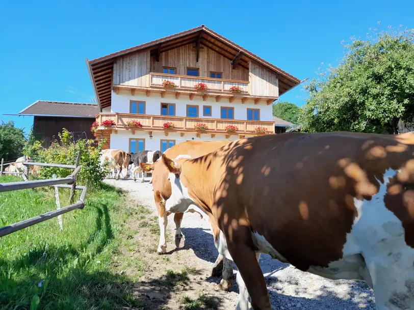 Hatzl Hof in Bad Feilnbach