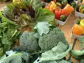 Mikrofarm Gräfelfing - Gemüse Abo in München Mikrofarm Gräfelfing - Gemüse Abo in München