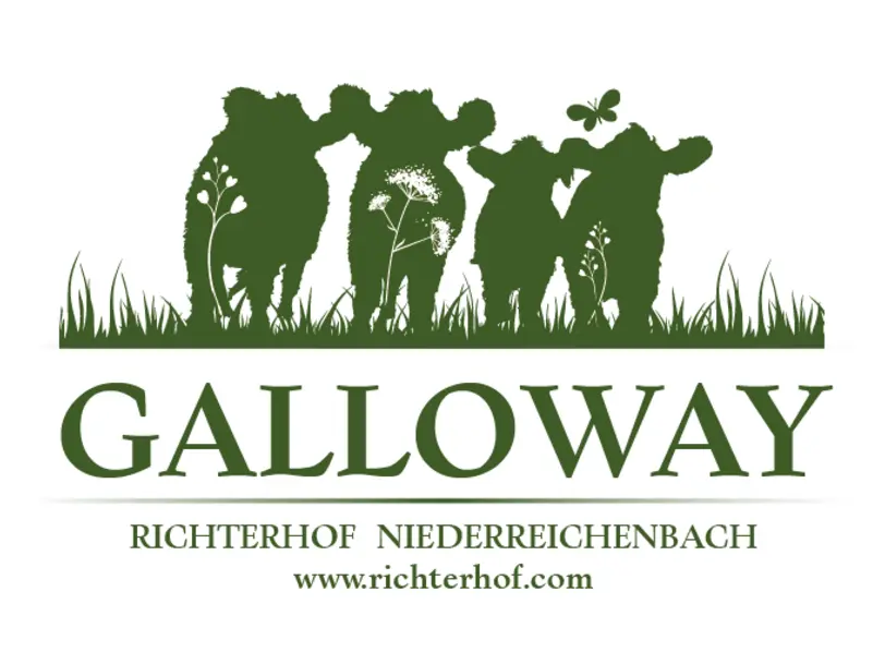 Galloway vom Richterhof - Niederreichenbach in  Reichenbach/ Oberlausitz - bei Görlitz