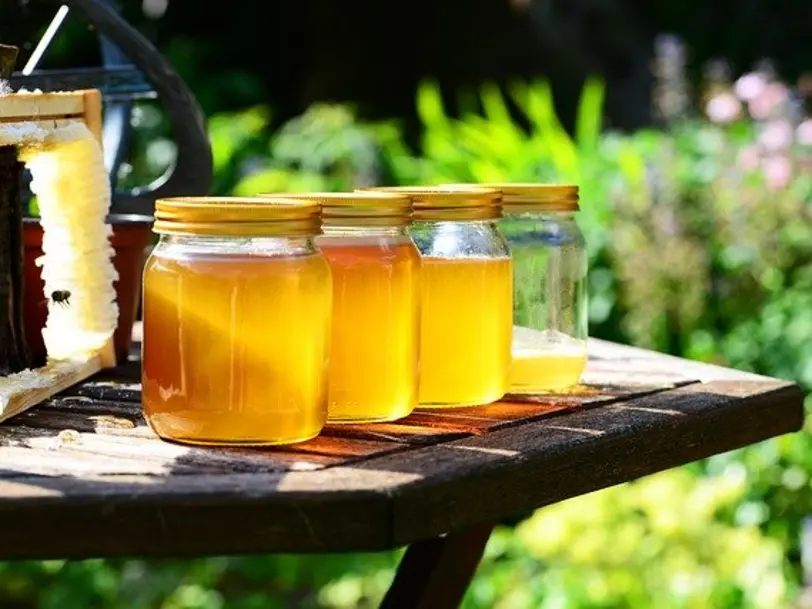 Imkergesellin Susanne Matschullies - Stadt Land Bienen in Ehingen