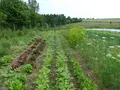 Landwirtschaftsbetrieb Johannishöhe Tharandt in Tharandt