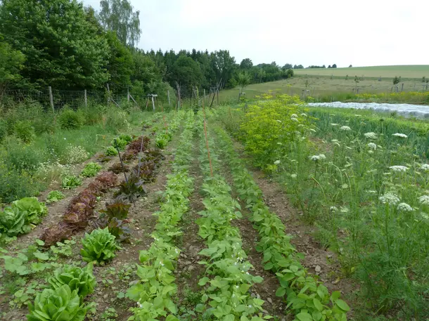 Landwirtschaftsbetrieb Johannishöhe Tharandt