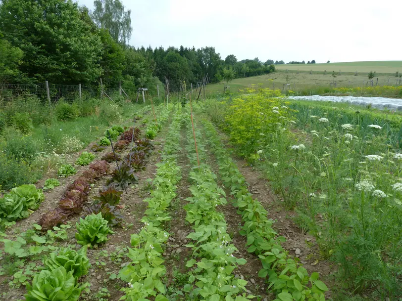Landwirtschaftsbetrieb Johannishöhe Tharandt in Tharandt