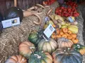 Bruggheim Selbsterntegarten Lekkerland in Gettnau