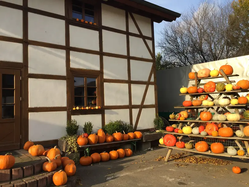 Hofmarkt Scheffer in Menden